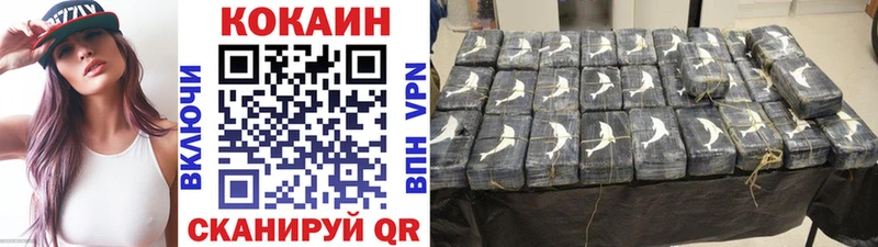 продажа наркотиков  Новочебоксарск  COCAIN FishScale 