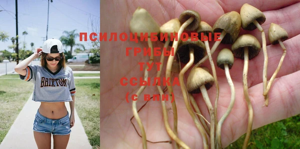 ешки Михайловка