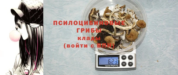 Альфа ПВП Михайловск