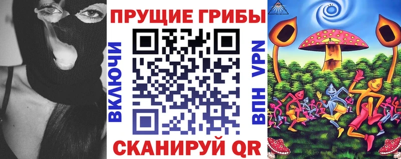 Псилоцибиновые грибы Cubensis  blacksprut ссылка  Новочебоксарск 