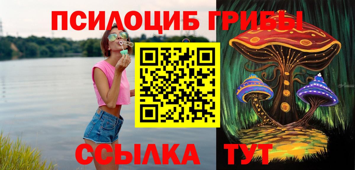 Новочебоксарск  Псилоцибиновые грибы мицелий  Вход с VPN  Псилоцибиновые грибы мухоморы 