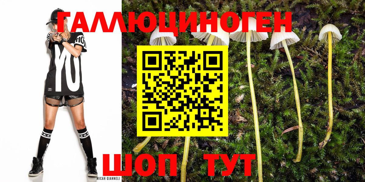 МЕТАДОН Новочебоксарск