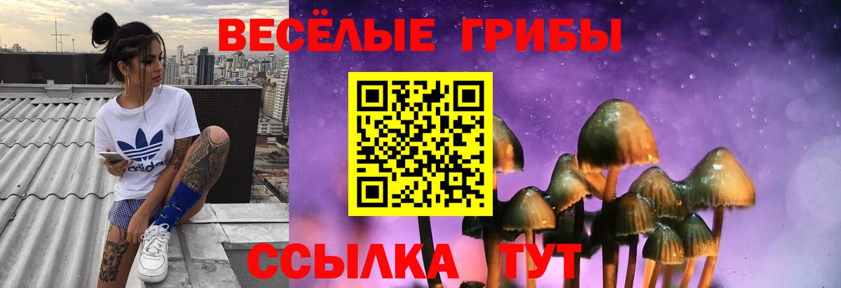 Галлюциногенные грибы Cubensis Новочебоксарск